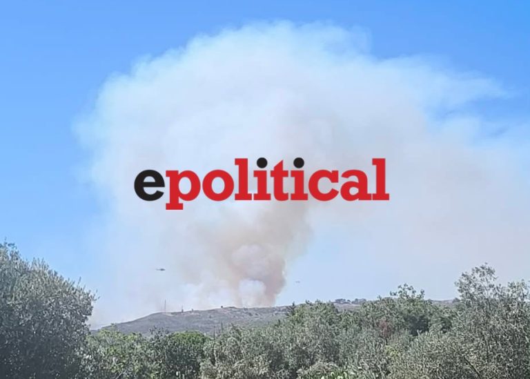 Αφίδνες: Συναγερμός φωτιά στη Δροσοπηγή (ΑΠΟΚΛΕΙΣΤΙΚΟ VIDEO)