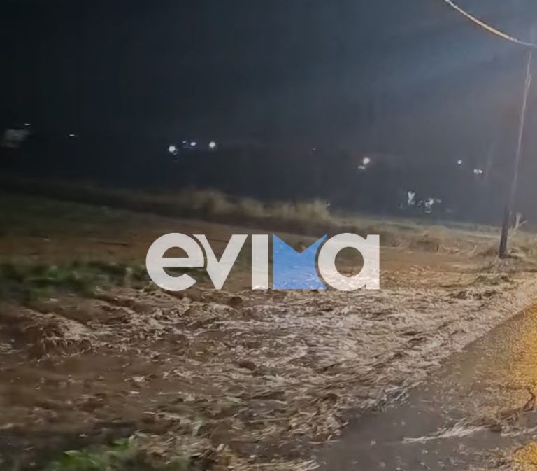 Κακοκαιρία: Νεροποντές και μπουρίνια σε Εύβοια και Πάργα (VIDEO)