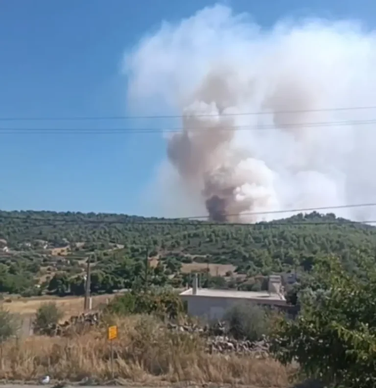 Τανάγρα: Φωτιά σε δασική έκταση μετά την πτώση του Phantom, ήχησε το 112 (PHOTOS)