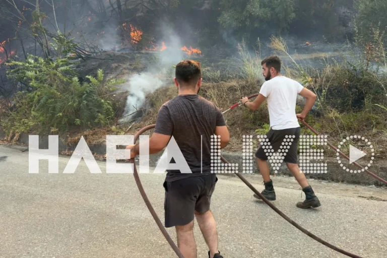 Μάχη με τις φλόγες σε Ηλεία, Βοιωτία, Εύβοια και Ορεστιάδα (PHOTOS)