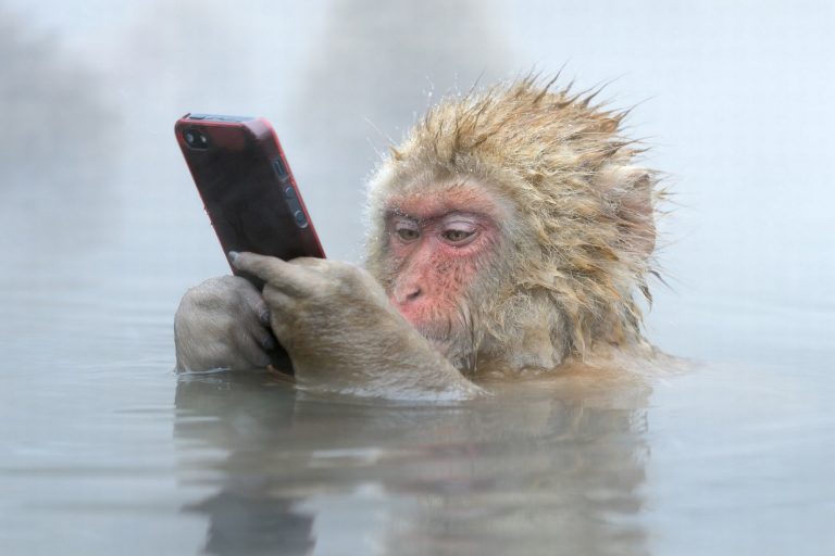 Πώς η selfie μιας μαϊμούς μπορεί να αλλάξει το μέλλον της AI; Μία απίθανη ιστορία copywrighrts
