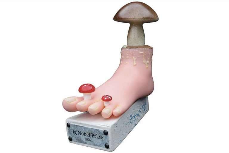Ig Nobel, αλλά με χιούμορ: Η επιστήμη σε mode τρολ – Γάλα κατσαρίδας, ουρητήρια χωρίς πιτσιλιές και φιλί 21,5 εκ. ετών (Video)