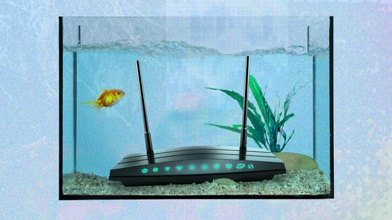 Μήπως το ενυδρείο σας καταστρέφει το Wi-Fi; Οι παράξενοι εχθροί του σήματος