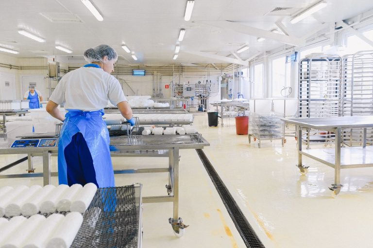 FDA: Κατσαρίδες και μύγες σε μονάδα παραγωγής τυριών – Σοβαρές παραβάσεις υγιεινής