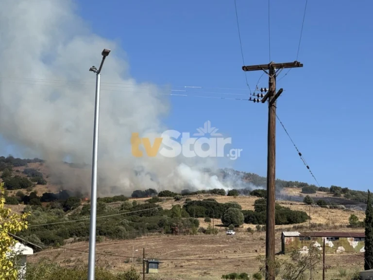 Φωτιά στη Λαμία: Μεγάλη κινητοποίηση – Σηκώθηκαν δύο αεροσκάφη και ελικόπτερο (VIDEO)